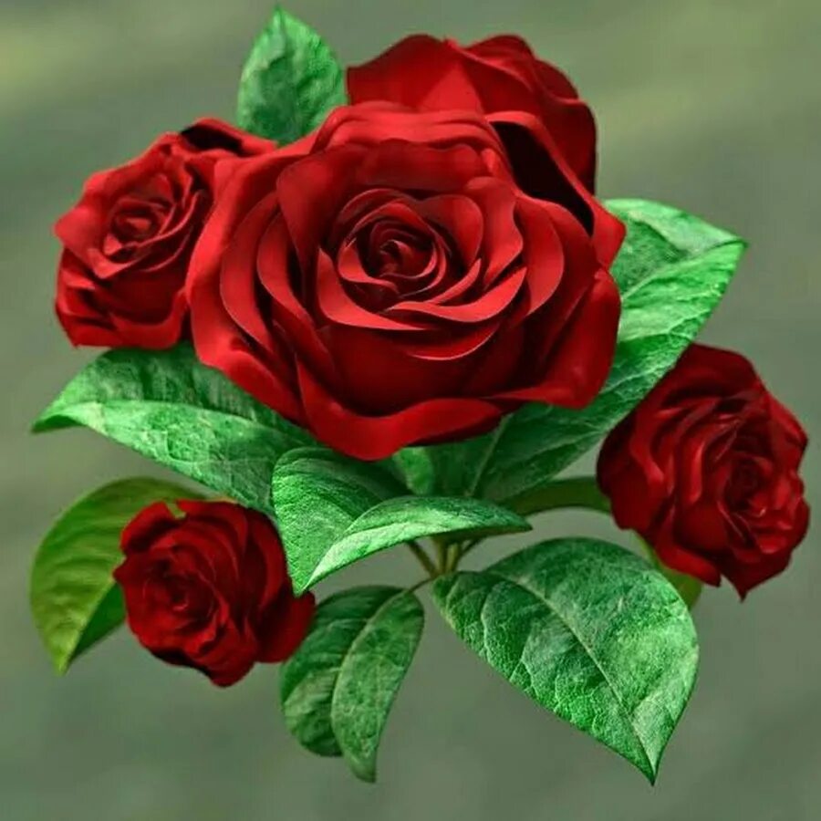 Вино rose d'anjou розовое. Д розе 5. Маркиз де гулен розе д' анжу розовое п/сухое категории аос 0,75л 11%. Д розе 5. Биомастер агропесок 1л биомастер.