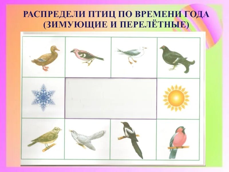 Распредели птиц по группам. Оседлые птицы, качающие птицы, перелётные птицы. Распредели птиц по группам. Классификация птиц перелетные кочующие оседлые. Распредели птиц по группам.