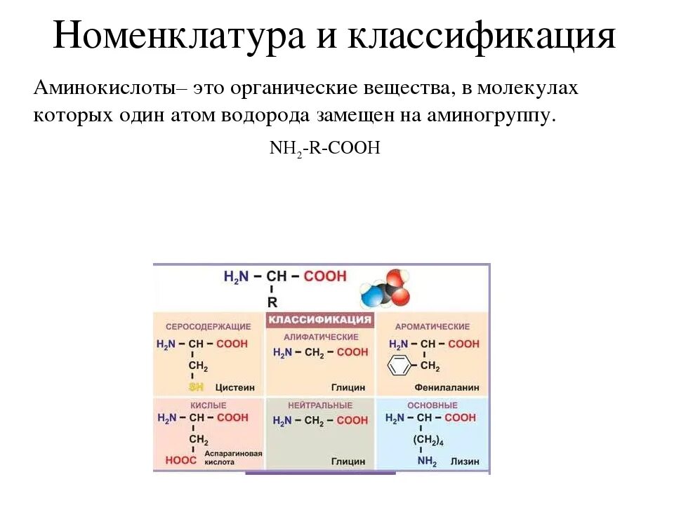 Кислотно основные аминокислоты