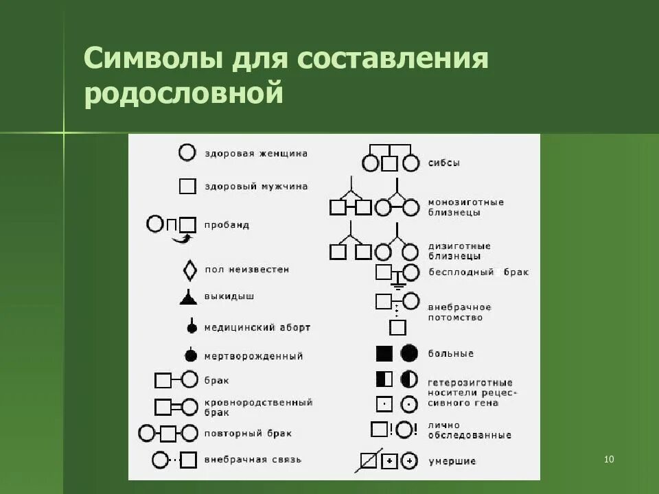 Условные обозначения в генеалогическом древе