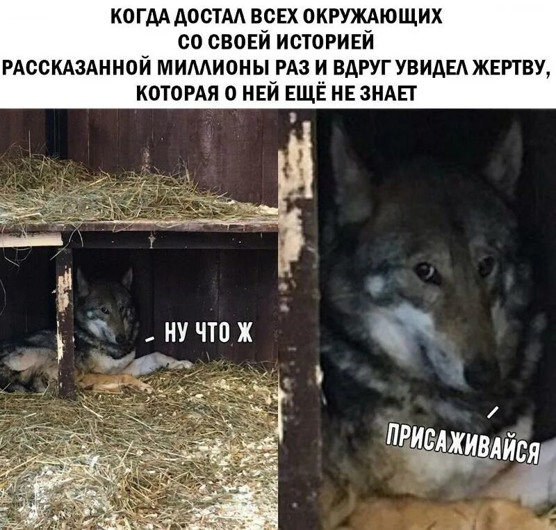 Никогда не рассказывай о себе слишком много. Анекдоты про слепых и глухих. Поговорка немой сказал глухому. Мемы про мать. Слепой сказал глухому.