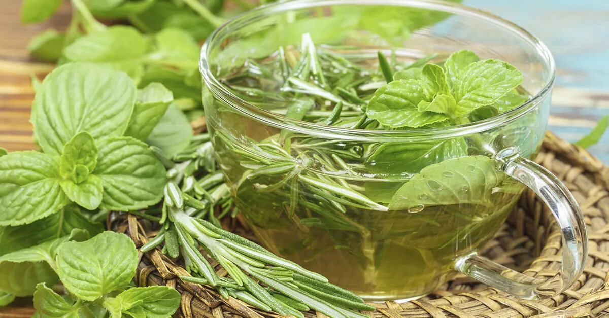Народные средства лечения слизистой. Травяной чай "мята перечная". Мята перечная листья чай.