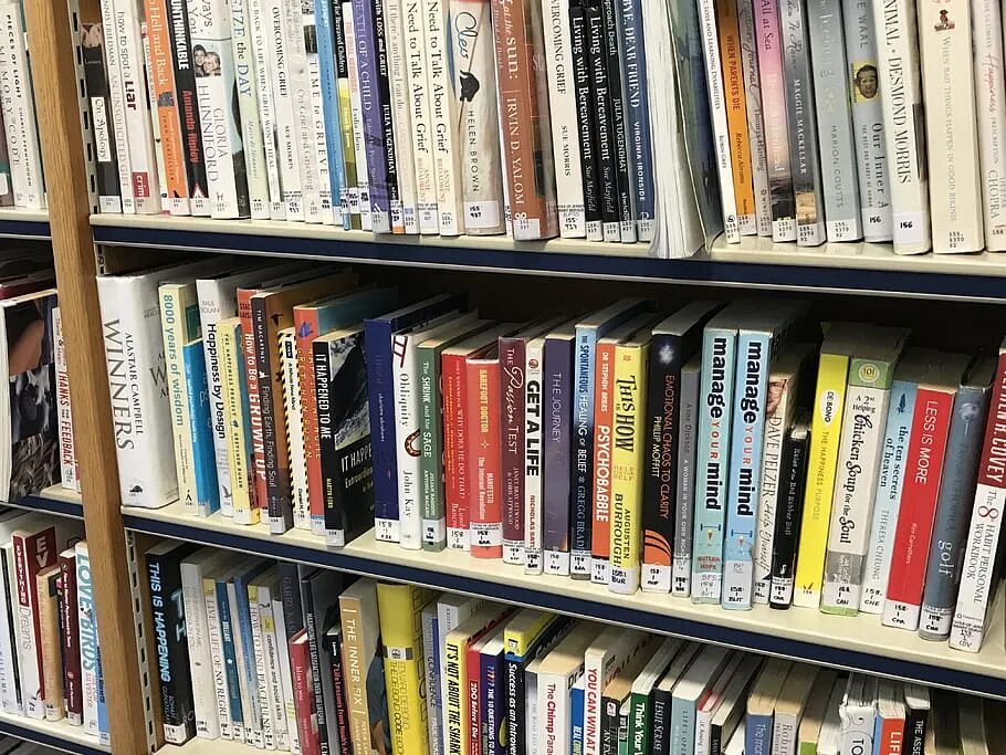 Библиотека книг ошибка. Полки для книг. книга библиотека. книги из библиотеки. картинка книги в библиотеке.