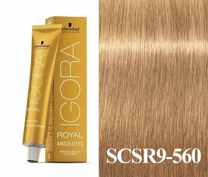 Igora royal absolutes. Igora Royal absolutes 9-60. Краска Schwarzkopf Igora Royal absolutes. Igora Royal absolutes 9-470. Игора абсолькраска для волос палитра 9-560.