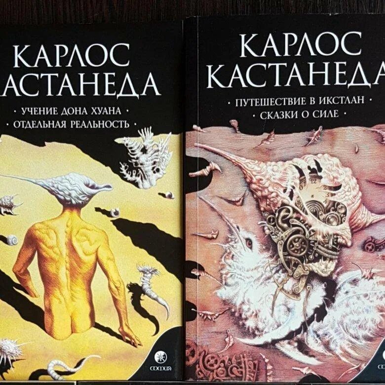 Согласно учению карлоса кастанеды физической. Дона Хуана (Карлос Кастанеда). Карлос Кастанеда 1 книга. Книга Дон Хуан Кастанеда Карлос. Учение Дона Хуана книга.