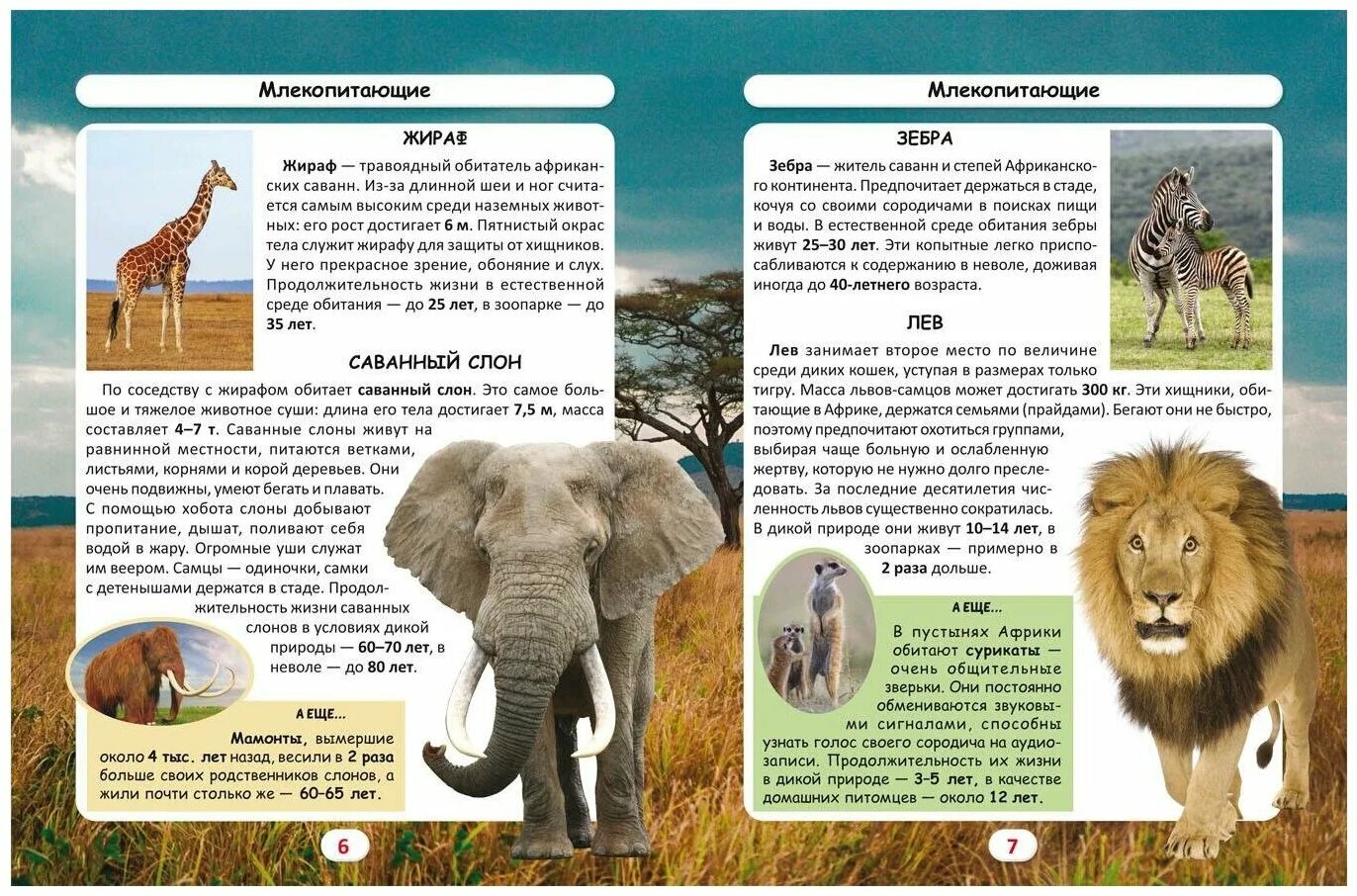 инфографика чтение книг. сколько лет мир книги. журнал мир книги последний. инфографика чтение. средний объем книги.
