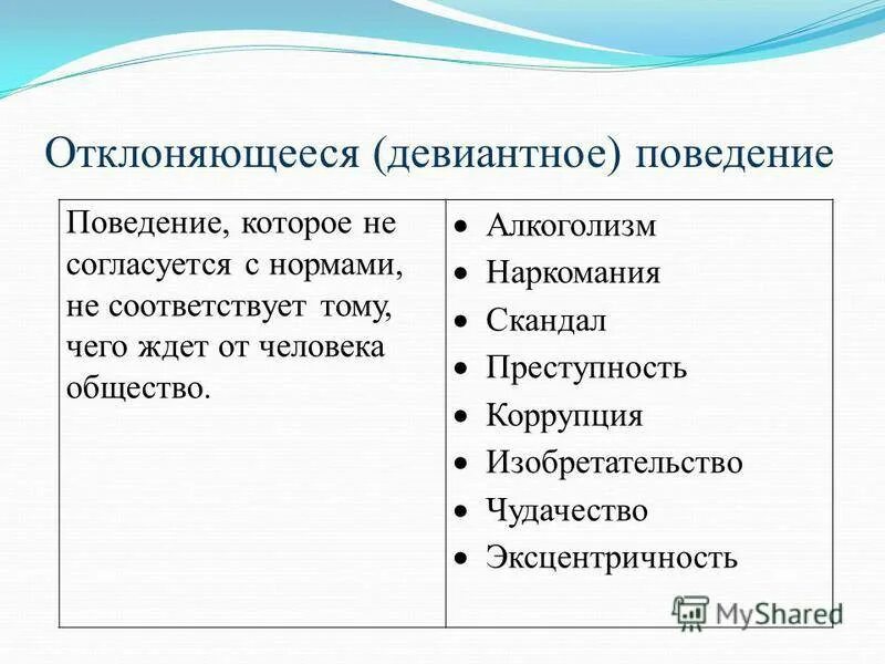 Перечислите что относится к социальным нормам
