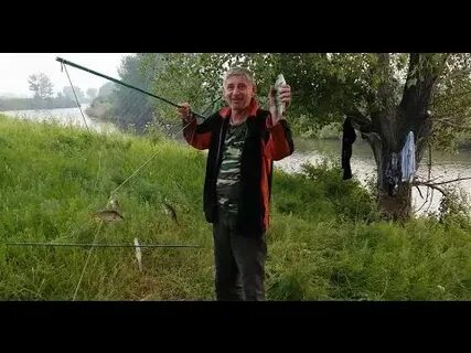 Ловит тв