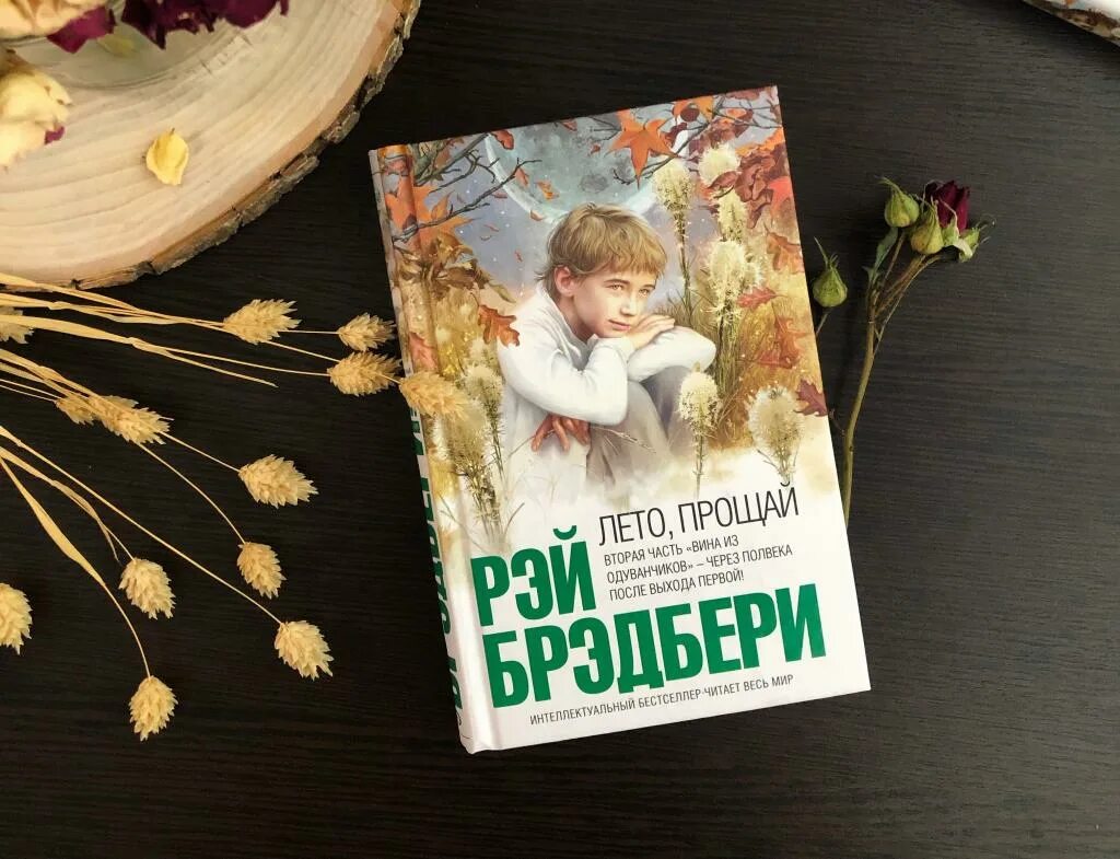 Книга прощание читать. Вино из одуванчиков и лето Прощай. Лето Прощай Брэдбери иллюстрации.