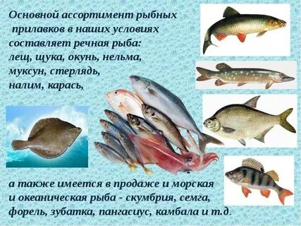 Отличия морской рыбы от пресноводной
