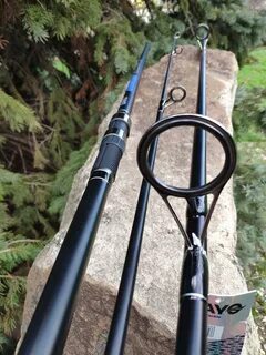 Dayo competition carp