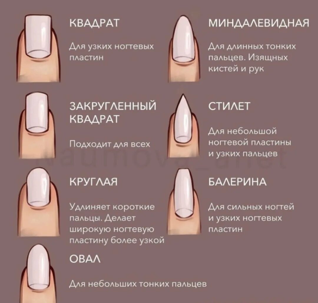 О чем говорит форма ногтей. Правильная форма ногтя сбоку. Форма ногтей квадрат сбоку. Формы ногтей и их названия и схемы опила. Форма ногтей квадрат вид сбоку.