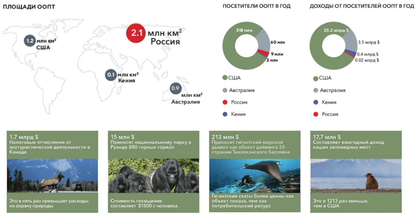 Современного состояния развития туризма. Экологический туризм в мире статистика. Статистика развития экологического туризма в мире. Экологический туризм в России статистика. Статистика развития экотуризма в России.