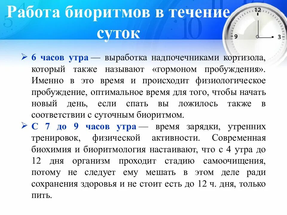 Сутки 26 часов. Биоритмы циркадные ритмы. Работа биоритмов в течении суток. Биологические ритмы часы человека. Суточные биологические ритмы.