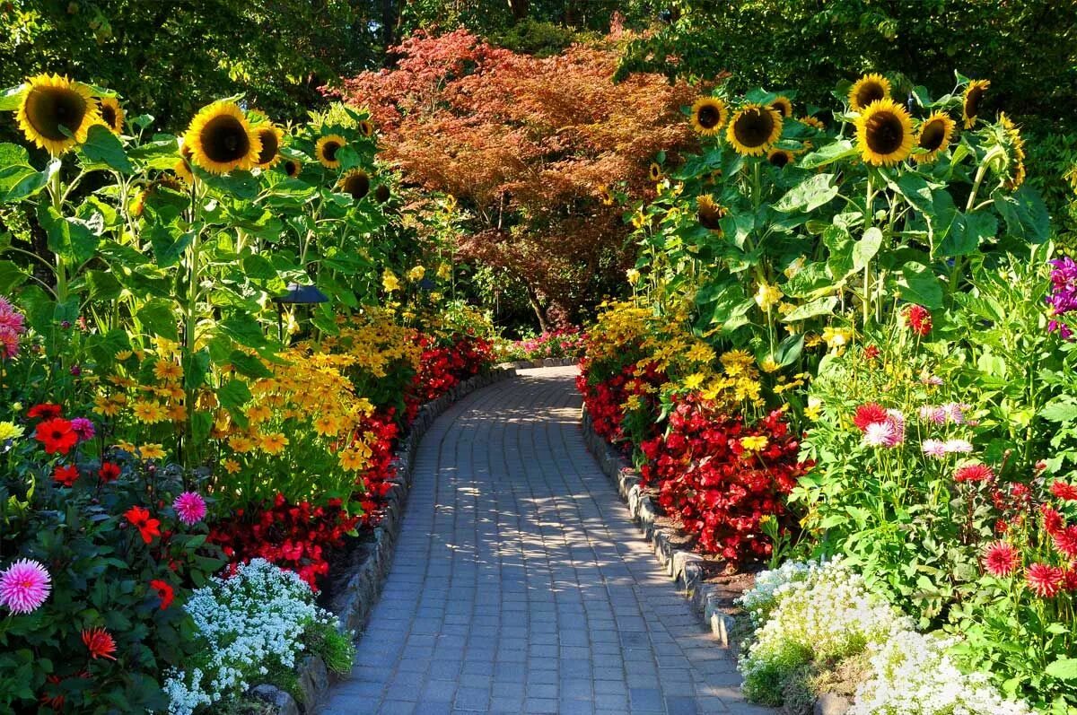 Pin on Gardens Cottage garden, Garden design, Flower garden design