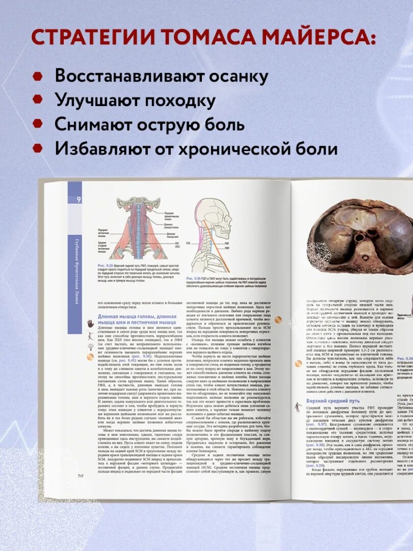 Анатомические поезда Майерса. Книга томаса майерса анатомические поезда