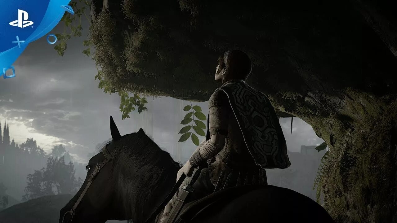 Shadow of edtree. Shadow of the colossus (2018). shadow of the colossus xbox 360. shadow of the colossus (2018 video game). shadow of the colossus арт.