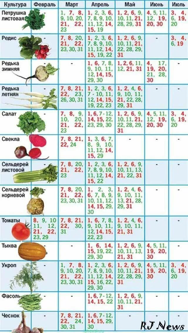 В каком месяце весной сажают. Таблица посева овощей лунный календарь. Лунный календарь для посадки овощей. Календарь посадоковощец. Лунный календарь для посадкиоващей.