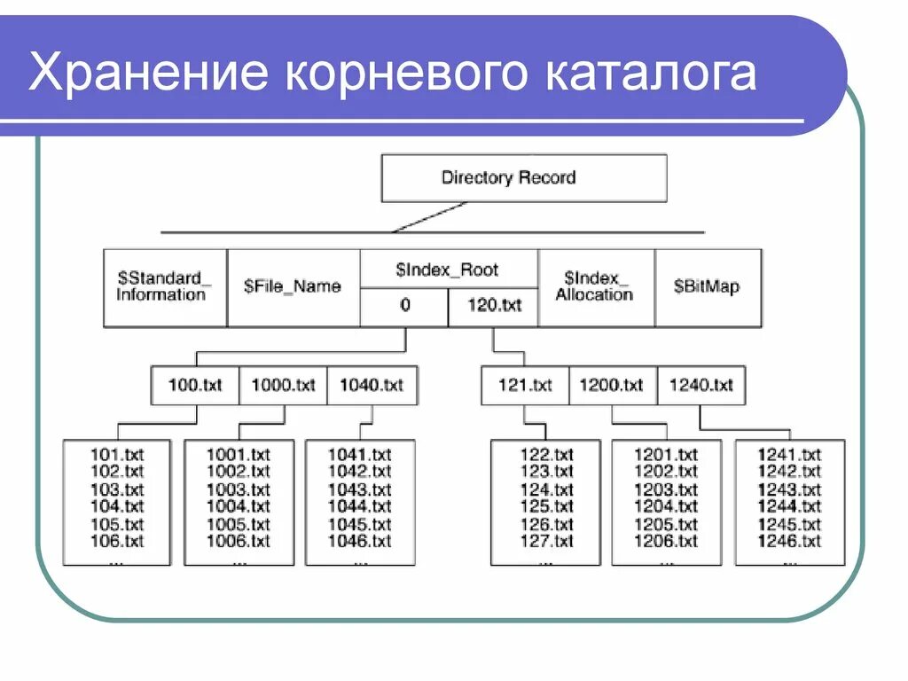 Корневой каталог находится. Корневой каталог. Что располагается в корневом каталоге. Файловая система. Корневой каталог обозначение.