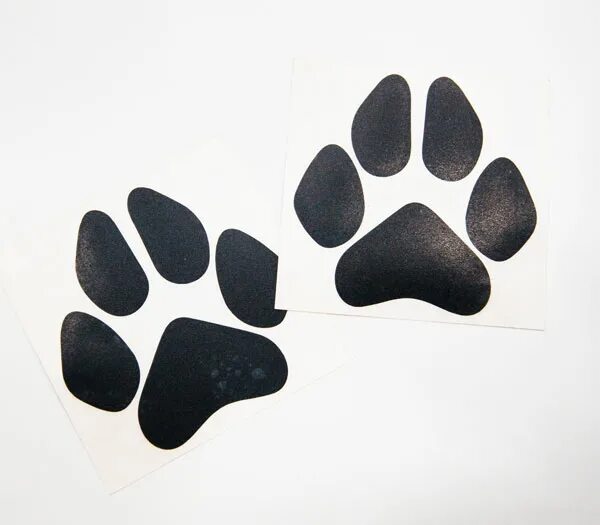 перчатки кошачьи лапки. черные кошачьи перчатки. перчатки лапки серые. лапка кота. пушистые лапки.