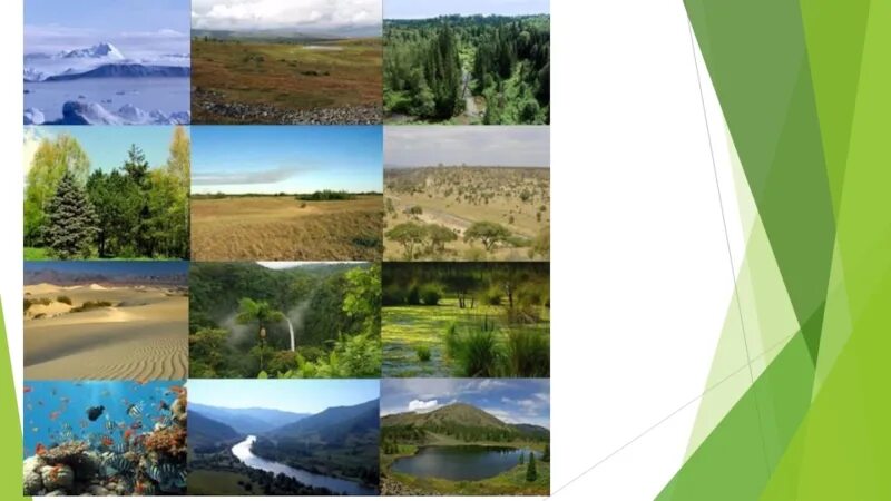 Агроклиматмчесмке ресурс. Агроклиматические ресурсы филиппин. Агроклиматические ресурсы природной зоны. Агроклиматические ресурсы природной зоны. Карта климат и агроклиматические ресурсы россии.