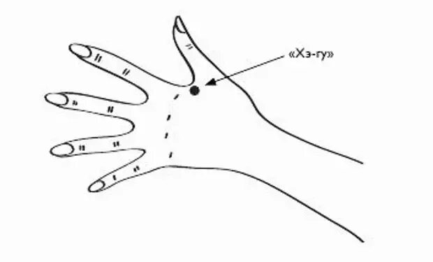 Точка между большим и указательным. Хэ ГУ точка акупунктуры. Точка Хэ ГУ между большим и указательным пальцем. Хэ ГУ точка на Меридиане Толстого кишечника. G14 точка акупунктуры.