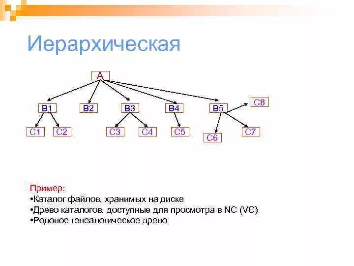 Графической моделью иерархической системы является сеть