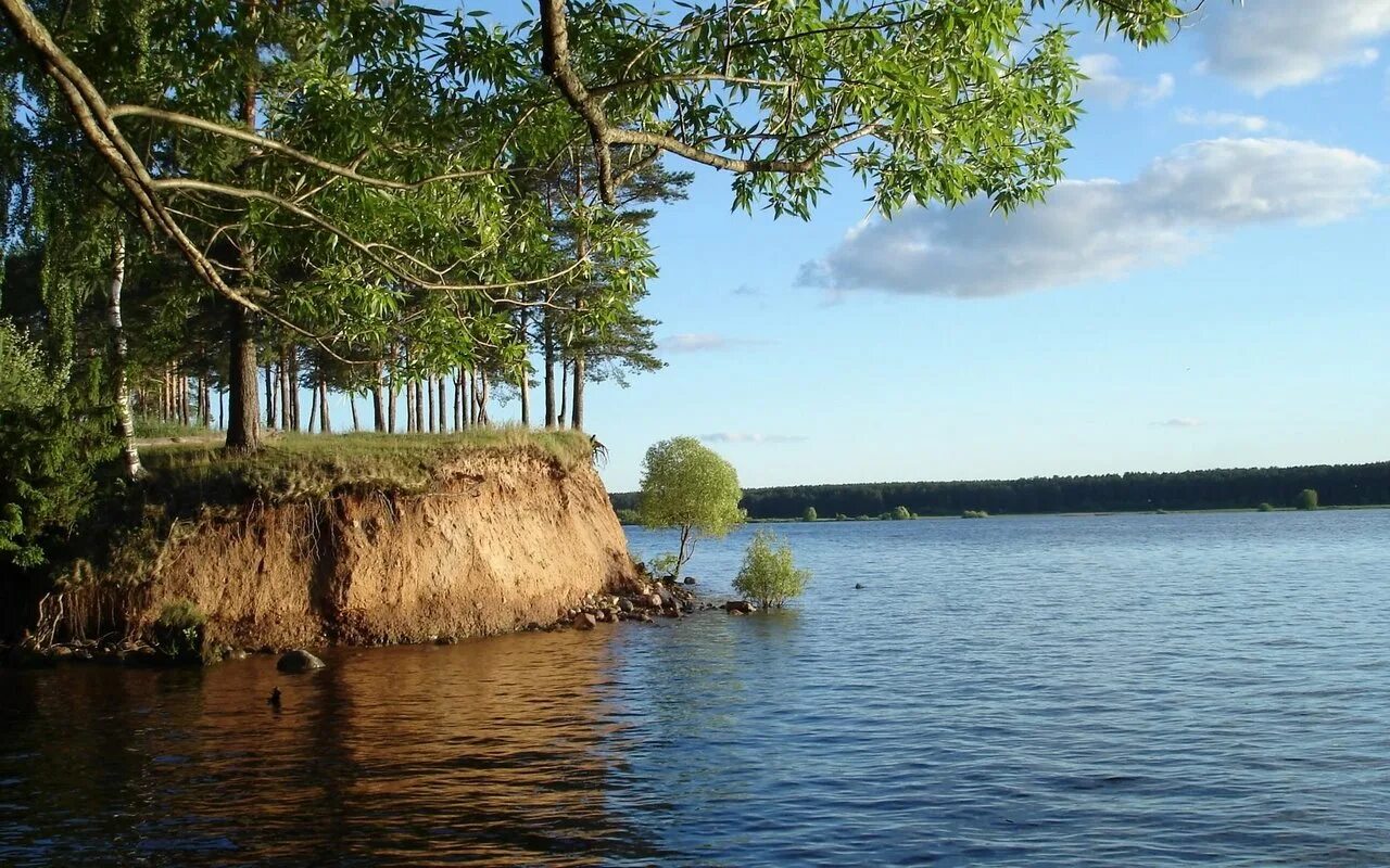 Природа реки волга. Осаповы острова Юрьевец. Юршинский остров. Река Волга Приволжье. Сосновый Бор озеро Волго.