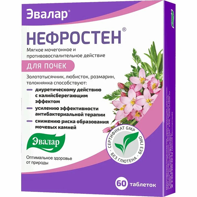 Как часто можно пить мочегонное. Нефростен пробиотик Эвалар. Нефростен таб №60. Нефростен таб.п.п.о.№60. Нефростен (таб.п.п/о n60 Вн ) Эвалар ЗАО-Россия.