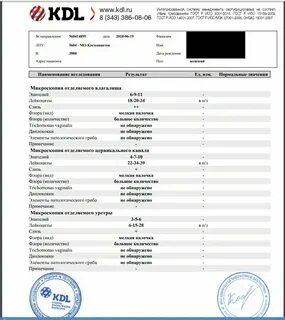 Пцр тест результат как узнать