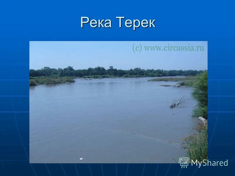 течение реки терек. долина реки терек и волги. какое течение у терека. терек горная или равнинная. рассказ о тереке.