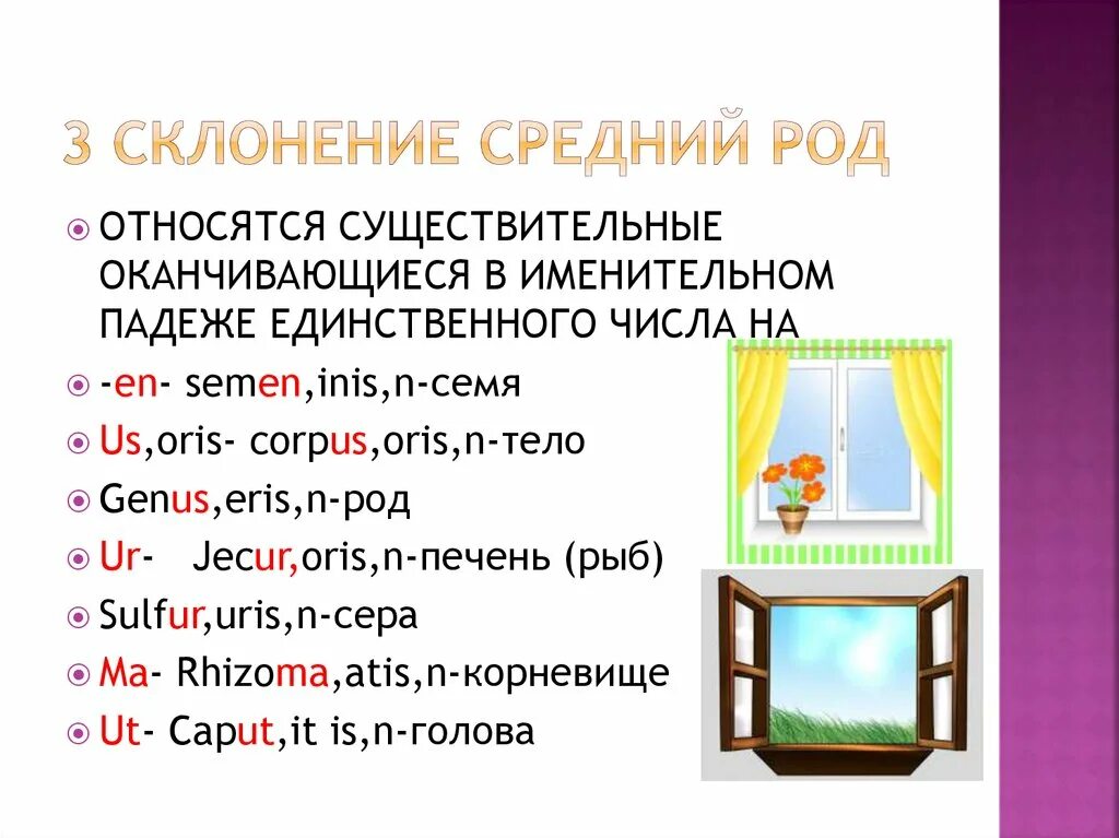 Sulfur склонение. Corpus Oris n склонение. Sulfur склонение латынь. Эри род существительного.