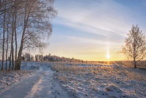 Уберу прелестный подберет заря патриотический тарелка