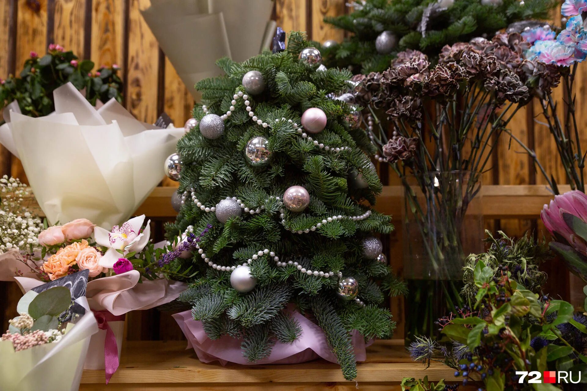 Новогодняя елка на окно. Царь елка ель сапфир 2. Через елки. Смешная елка. Через елки.