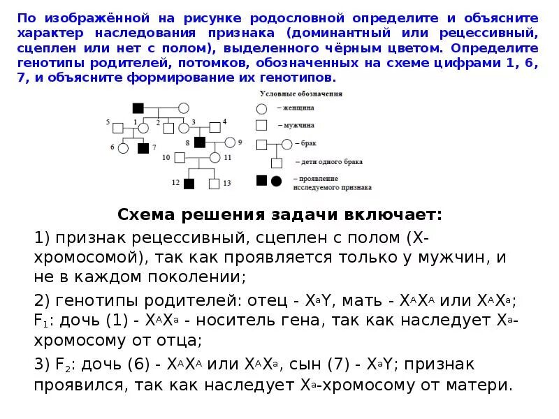 По схеме родословной определите Тип наследования. Определите Тип наследования генотип. Определите Тип наследования признака. Задачи на наследования признака по родословной.