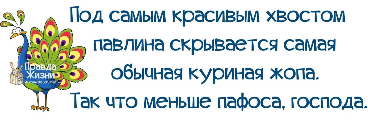 Под каждым хвостом. Под самым красивым павлиньим хвостом скрывается.