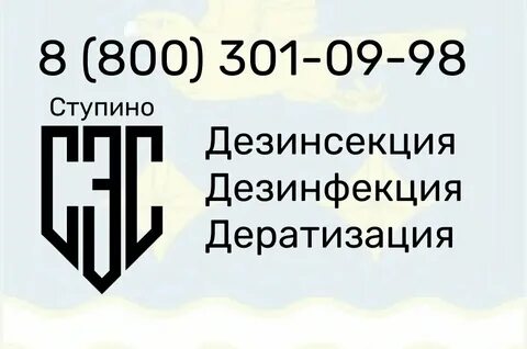 Ступино сэс автобус