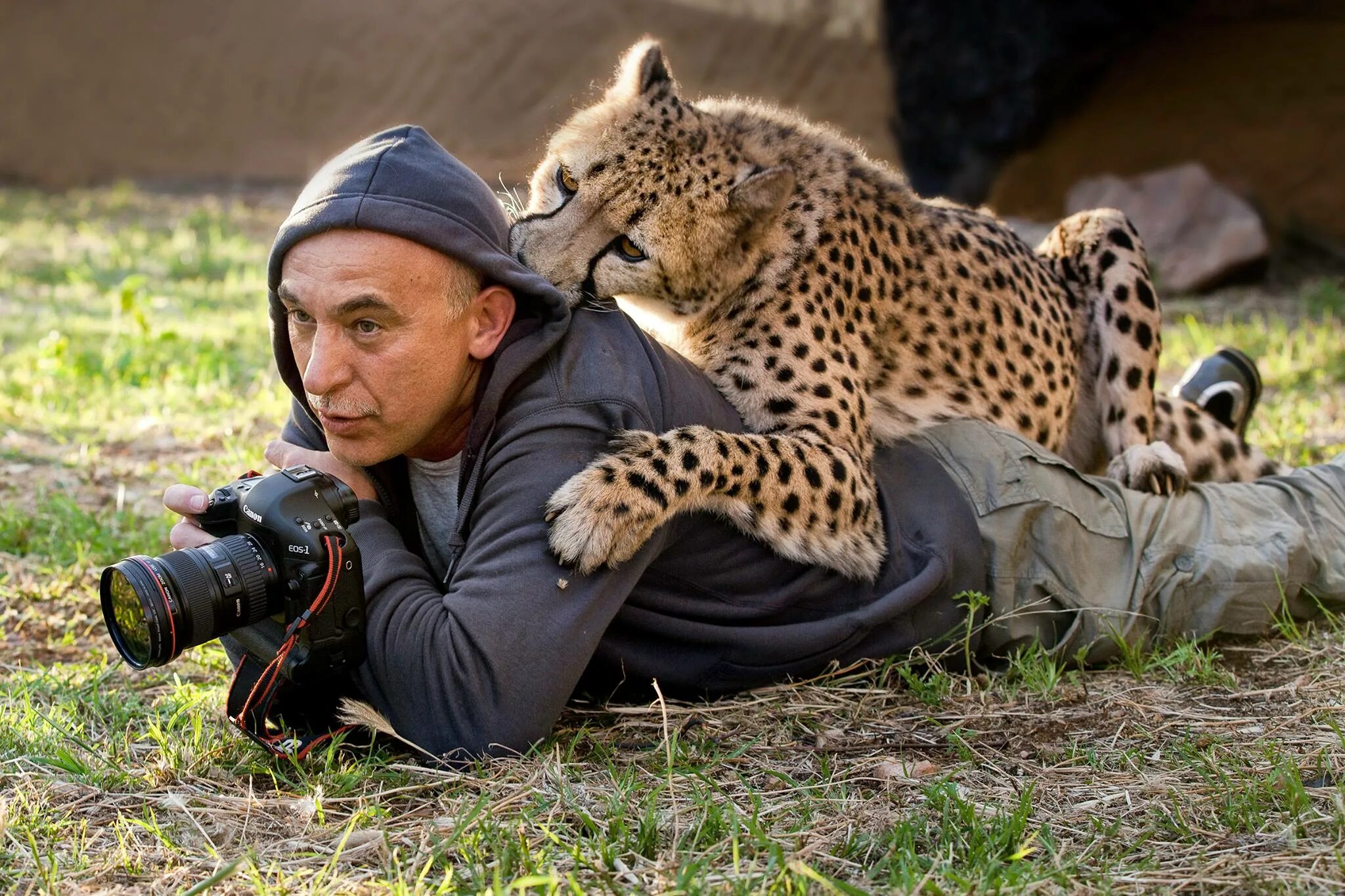 Юсин фотограф. Фотографы животных в дикой природе. Забавные Дикие животные. Фотографы дикой природы