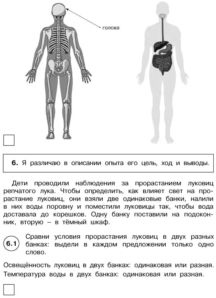 Впр окружающий мир 4 класс пройти тест. ВПР 4 класс. ВПР окружающий мир. ВПР по окружающему миру 4 класс. ВПР 4 класс окруж мир.