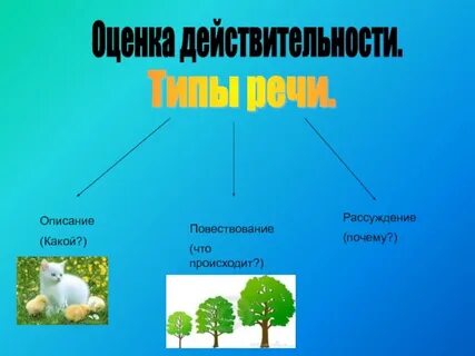 Реальность оценки
