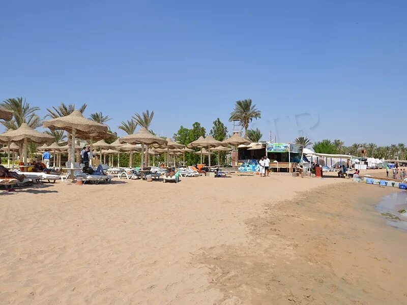 Cataract layalina resort 4 египет шарм-эль-шейх. Cataract шарм эль шейх. Cataract layalina 3 шарм-эль-шейх. Cataract layalina resort 4 египет. Cataract шарм эль шейх.