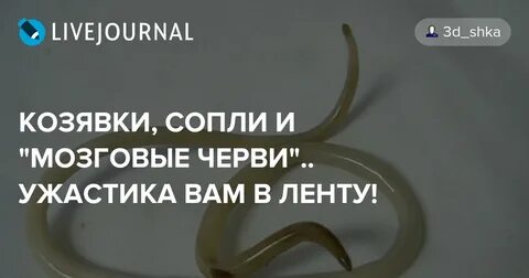 Есть козявки полезно
