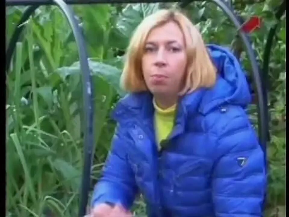 Семья марины рыкалиной фото Марина Рыкалина и Виталий Декабрев YouTube Культура, Овощной огород