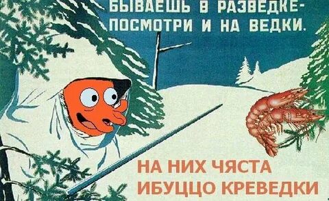 Разведчик узнал