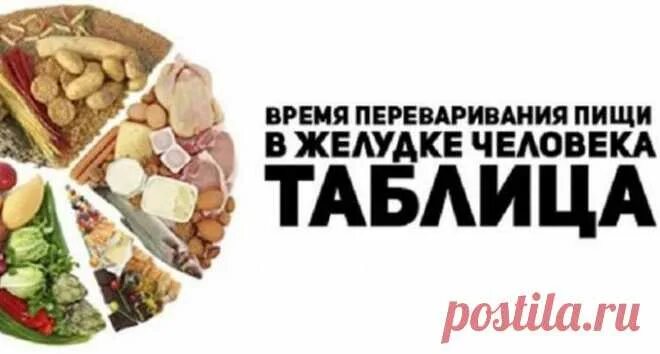 Как быстрее переварить еду