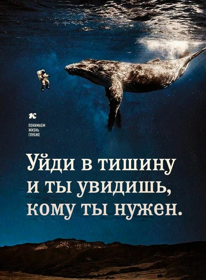 Я ушла в тишину. Увидишь тишину. Увидишь тишину. Уйти в тишину. Увидишь тишину.
