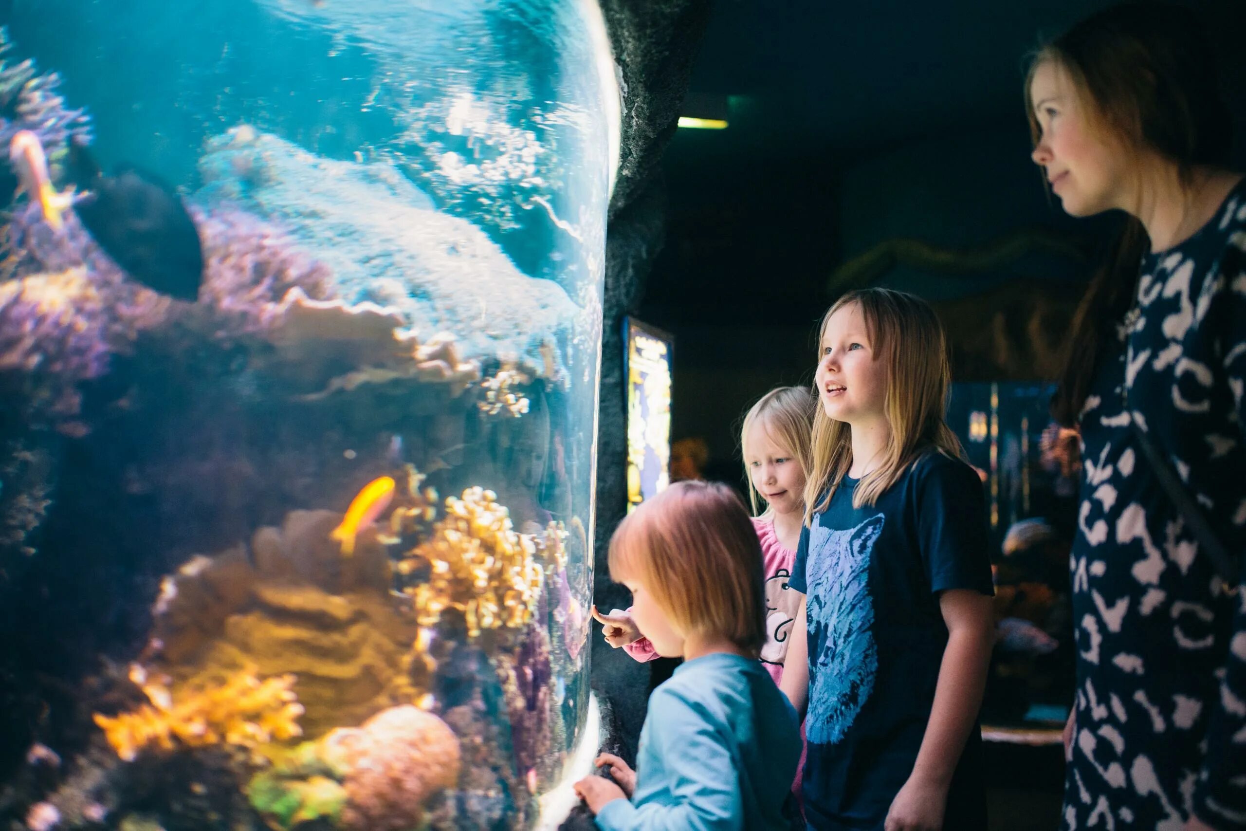 Куда сходить с ребенком 6. Дети в океанариуме. Дети на экскурсии в океанариуме. Семья в океанариуме. Морская жизнь Хельсинки.