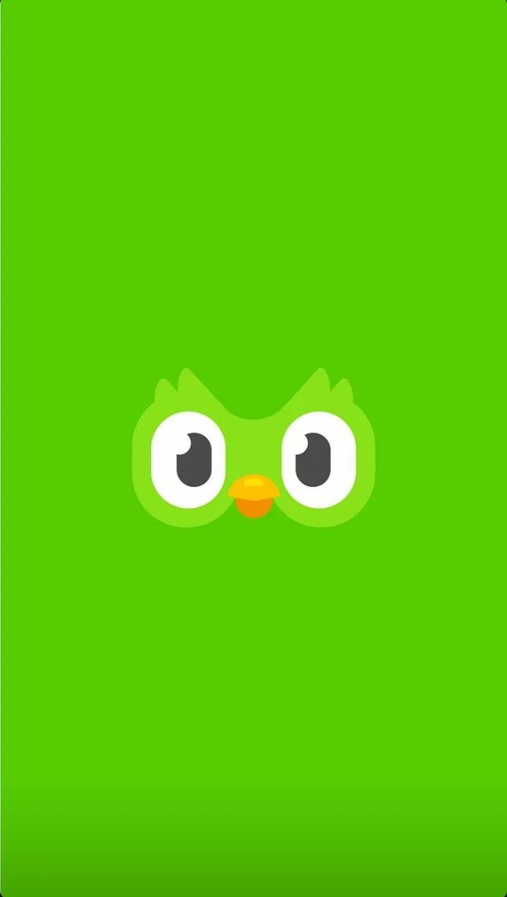 Duolingo учим. Дуолинго. Иконка приложения Duolingo. Дуолинго логотип. Дуолинго рисунок.