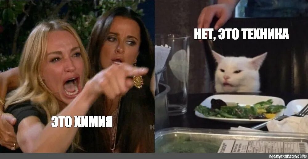 Кот из мема с девушками. Кот из мема с девушками