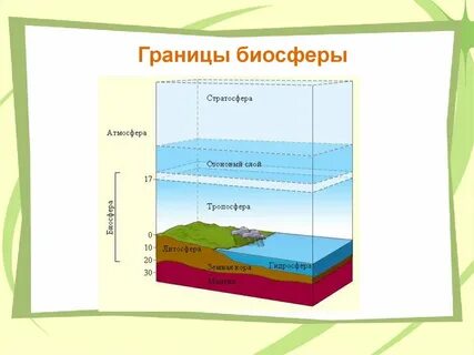 Верхняя граница биосферы находится